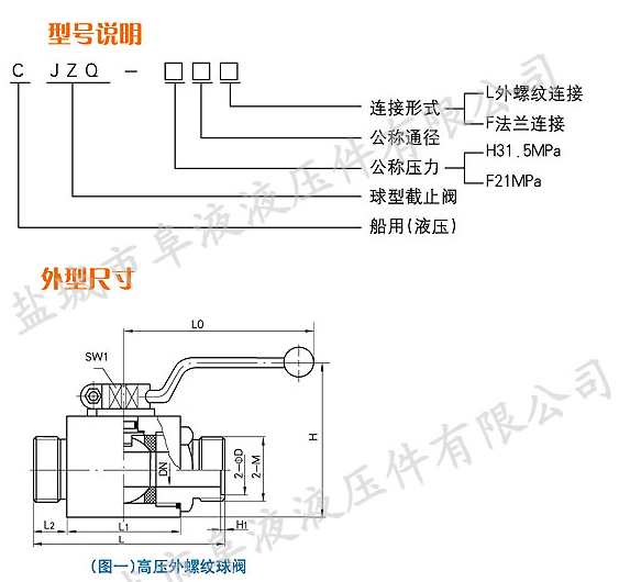 CJZQ型外螺纹高压球阀